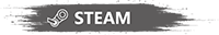 Steam